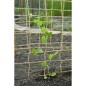 Nature Malla para plantas enredaderas yute natural 1x3 m Nature Malla para plantas enredaderas yute natural 1x3 m