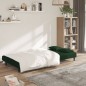 vidaXL Sofá cama de 2 plazas con dos almohadas terciopelo verde oscuro vidaXL Sofá cama de 2 plazas con dos almohadas terciopelo verde oscuro