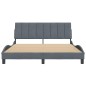 vidaXL Estructura cama con cabecero terciopelo gris oscuro 160x200 cm vidaXL Estructura cama con cabecero terciopelo gris oscuro 160x200 cm