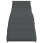 vidaXL Tumbonas con mesita 2 unidades ratán sintético gris vidaXL Tumbonas con mesita 2 unidades ratán sintético gris