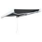 vidaXL Toldo de carrete manual 350 cm gris antracita vidaXL Toldo de carrete manual 350 cm gris antracita