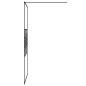 vidaXL Mampara de ducha vidrio ESG transparente negro 100x195 cm