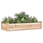 vidaXL Jardinera arriate con forro madera maciza abeto 120x45x25 cm vidaXL Jardinera arriate con forro madera maciza abeto 120x45x25 cm