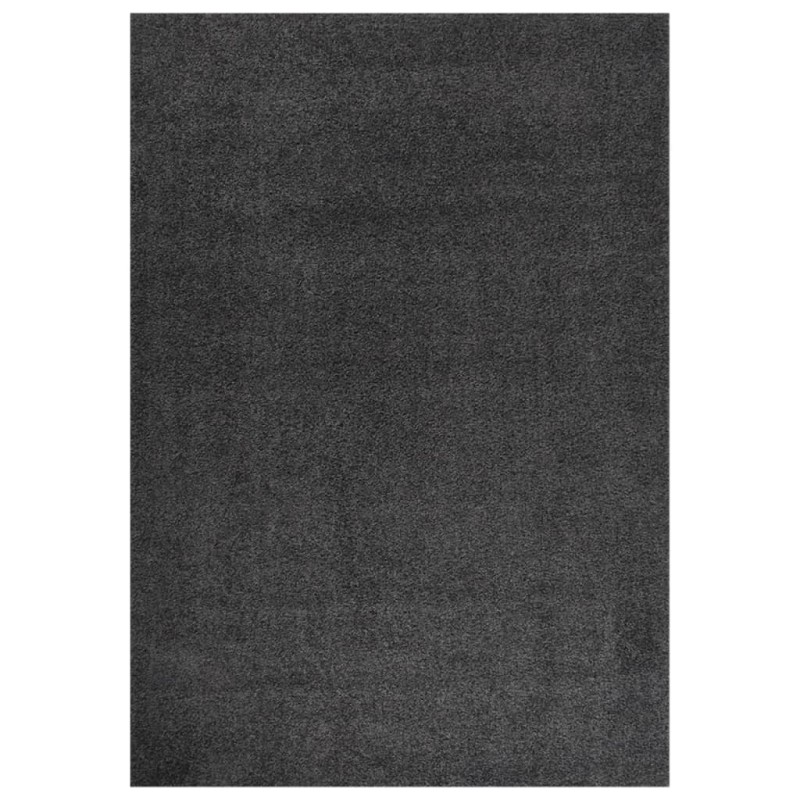 vidaXL Alfombra de pelo largo gris antracita 140x200 cm vidaXL Alfombra de pelo largo gris antracita 140x200 cm