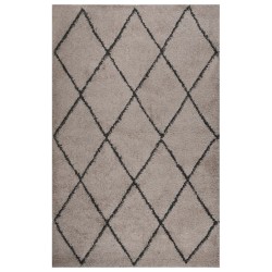 vidaXL Alfombra de pelo largo beige y gris antracita 200x290 cm