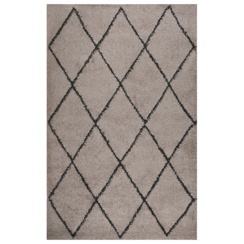 vidaXL Alfombra de pelo largo beige y gris antracita 200x290 cm