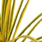 vidaXL Planta artificial drácena con macetero 125 cm amarilla vidaXL Planta artificial drácena con macetero 125 cm amarilla