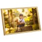 vidaXL Marcos de foto collage de pared/mesa 5 uds dorado MDF 59,4x84cm vidaXL Marcos de foto collage de pared/mesa 5 uds dorado MDF 59,4x84cm