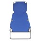 vidaXL Tumbona plegable de acero con recubrimiento polvo azul vidaXL Tumbona plegable de acero con recubrimiento polvo azul