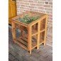 Esschert Design Invernadero de madera dura pequeño GT32 Esschert Design Invernadero de madera dura pequeño GT32