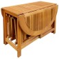 vidaXL Set comedor de jardín plegable 5 piezas madera maciza de acacia vidaXL Set comedor de jardín plegable 5 piezas madera maciza de acacia