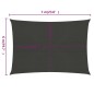vidaXL Toldo de vela antracita HDPE 160 g/m² 6x7 m vidaXL Toldo de vela antracita HDPE 160 g/m² 6x7 m