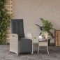 vidaXL Sillón reclinable de jardín con reposapiés ratán PE gris claro vidaXL Sillón reclinable de jardín con reposapiés ratán PE gris claro