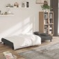 vidaXL Sofá cama de 2 plazas con dos almohadas terciopelo gris oscuro vidaXL Sofá cama de 2 plazas con dos almohadas terciopelo gris oscuro