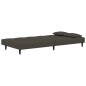 vidaXL Sofá cama de 2 plazas con dos almohadas terciopelo gris oscuro vidaXL Sofá cama de 2 plazas con dos almohadas terciopelo gris oscuro