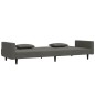 vidaXL Sofá cama de 2 plazas con dos almohadas terciopelo gris oscuro vidaXL Sofá cama de 2 plazas con dos almohadas terciopelo gris oscuro