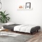 vidaXL Sofá cama de 2 plazas terciopelo gris oscuro vidaXL Sofá cama de 2 plazas terciopelo gris oscuro