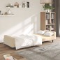 vidaXL Sofá cama de 2 plazas terciopelo color crema vidaXL Sofá cama de 2 plazas terciopelo color crema