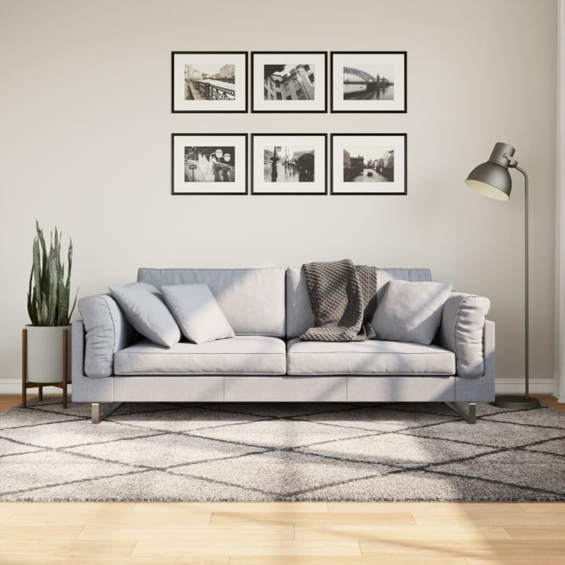 vidaXL Alfombra de pelo largo moderna beige y antracita 160x230 cm vidaXL Alfombra de pelo largo moderna beige y antracita 160x230 cm