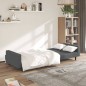 vidaXL Sofá cama de 2 plazas terciopelo gris oscuro vidaXL Sofá cama de 2 plazas terciopelo gris oscuro