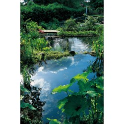 Ubbink Material filtro de estanque Lava piedra volcánica 16-32 mm 10 l