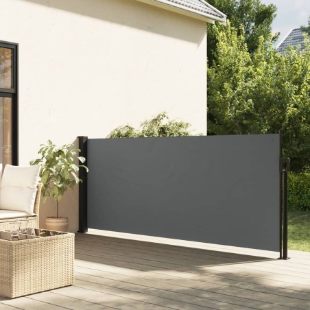 vidaXL Toldo lateral retráctil gris antracita 120x600 cm