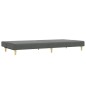 vidaXL Sofá cama de 2 plazas con taburete tela gris oscuro vidaXL Sofá cama de 2 plazas con taburete tela gris oscuro
