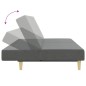 vidaXL Sofá cama de 2 plazas con taburete tela gris oscuro vidaXL Sofá cama de 2 plazas con taburete tela gris oscuro