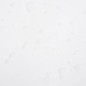 vidaXL Lona blanca 5x5 m 600 g/m² vidaXL Lona blanca 5x5 m 600 g/m²
