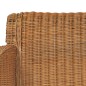 vidaXL Silla de comedor con cojín ratán natural marrón claro