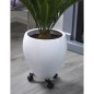 Nature Soporte para plantas con ruedas regulable 3 brazos metal negro Nature Soporte para plantas con ruedas regulable 3 brazos metal negro