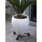 Nature Soporte para plantas con ruedas regulable 3 brazos metal negro Nature Soporte para plantas con ruedas regulable 3 brazos metal negro