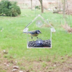 Esschert Design Comedero de ventana acríclico 15x10x15,3 cm FB370