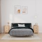 vidaXL Mesitas de noche 2 uds madera maciza de pino 40x35x61,5 cm