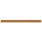 vidaXL Jardinera acero corten 770x50x36 cm