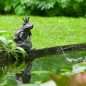 Ubbink Fuente de jardín con chorro y en forma de príncipe rana Ubbink Fuente de jardín con chorro y en forma de príncipe rana