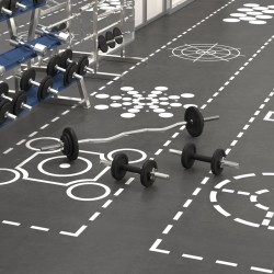 vidaXL Juego de barras y mancuernas de 30 kg hierro fundido