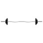 vidaXL Juego de barras y mancuernas de 30 kg hierro fundido vidaXL Juego de barras y mancuernas de 30 kg hierro fundido