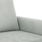 vidaXL Juego de sofás con cojines 2 piezas terciopelo gris claro vidaXL Juego de sofás con cojines 2 piezas terciopelo gris claro