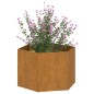 vidaXL Jardinera de acero corten oxidado 60x60x45 cm