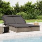 vidaXL Tumbona 2 personas toldo plegable ratán PE gris 213x118x97 cm vidaXL Tumbona 2 personas toldo plegable ratán PE gris 213x118x97 cm