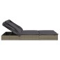 vidaXL Tumbona 2 personas toldo plegable ratán PE gris 213x118x97 cm vidaXL Tumbona 2 personas toldo plegable ratán PE gris 213x118x97 cm