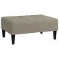 vidaXL Reposapiés de terciopelo gris claro 78x56x32 cm vidaXL Reposapiés de terciopelo gris claro 78x56x32 cm
