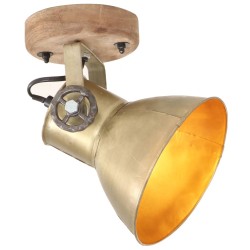 vidaXL Lámparas de pared/techo industrial 2 uds latón 20x25 cm E27