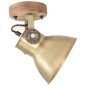 vidaXL Lámparas de pared/techo industrial 2 uds latón 20x25 cm E27 vidaXL Lámparas de pared/techo industrial 2 uds latón 20x25 cm E27