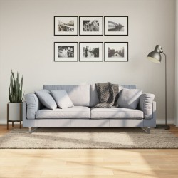 vidaXL Alfombra pelo largo aspecto brillante ISTAN beige 100x200 cm