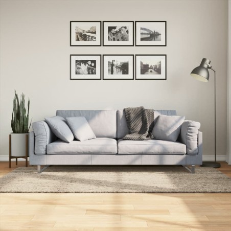 vidaXL Alfombra pelo largo aspecto brillante ISTAN beige 100x200 cm
