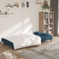 vidaXL Sofá cama de 2 plazas con dos almohadas terciopelo azul vidaXL Sofá cama de 2 plazas con dos almohadas terciopelo azul