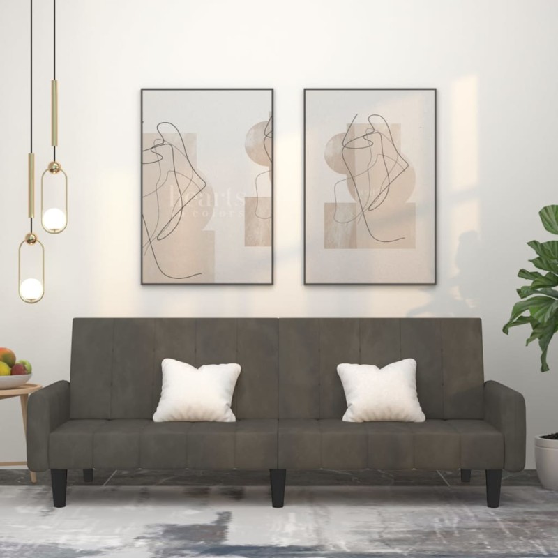 vidaXL Sofá cama de 2 plazas terciopelo gris oscuro vidaXL Sofá cama de 2 plazas terciopelo gris oscuro