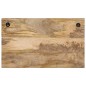 vidaXL Percheros de pared con 4 ganchos 2 uds madera maciza de mango vidaXL Percheros de pared con 4 ganchos 2 uds madera maciza de mango